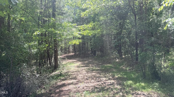 1681 BUCKNER CLARK RD, PITTSBORO, NC 27312 - Image fe98c4d86bdeeeafb73bc0203c7ceaaa/2437700529