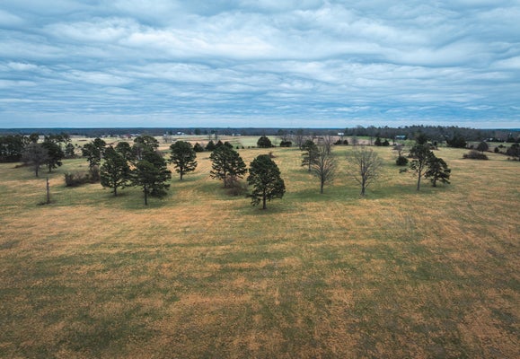 DEWITT DR, HARTSHORN, MO 65479 - Image 0288799996cd51975df52d6e6d796402/1695717093