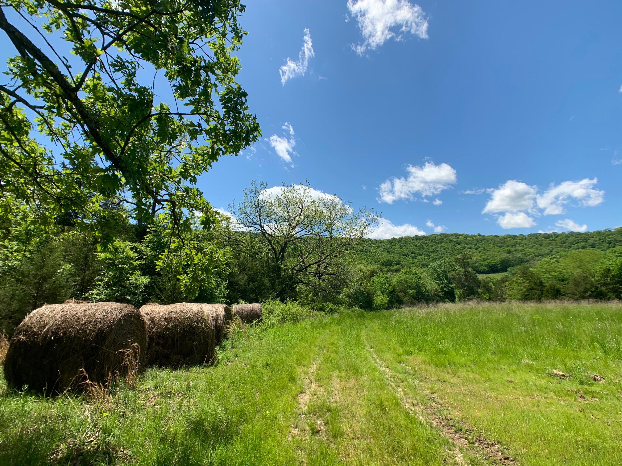 000 Farm Road 1280