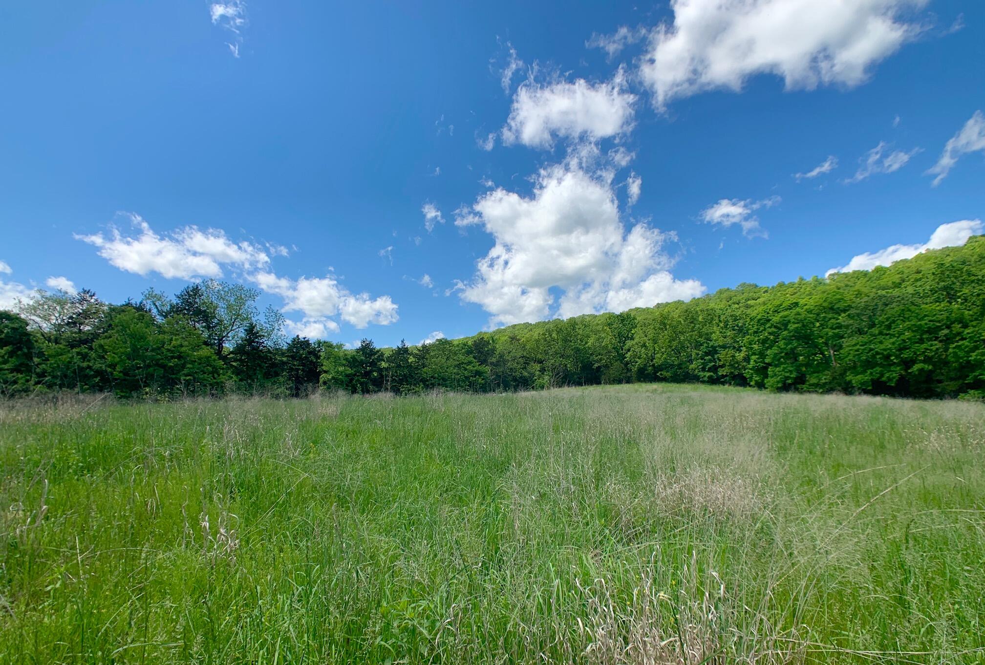 000 Farm Road 1280
