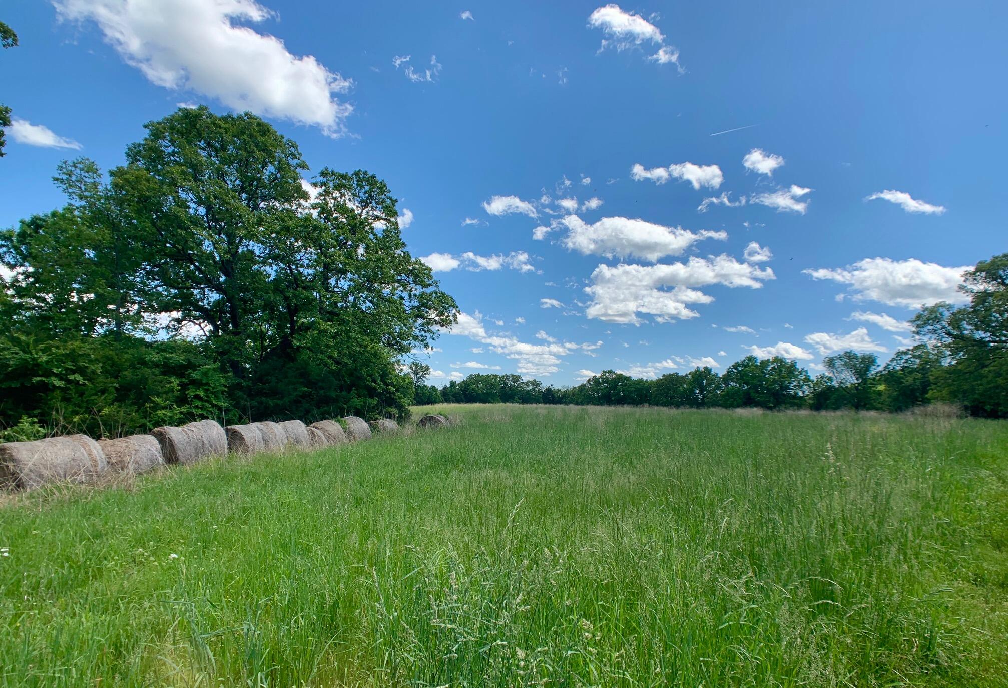 000 Farm Road 1280