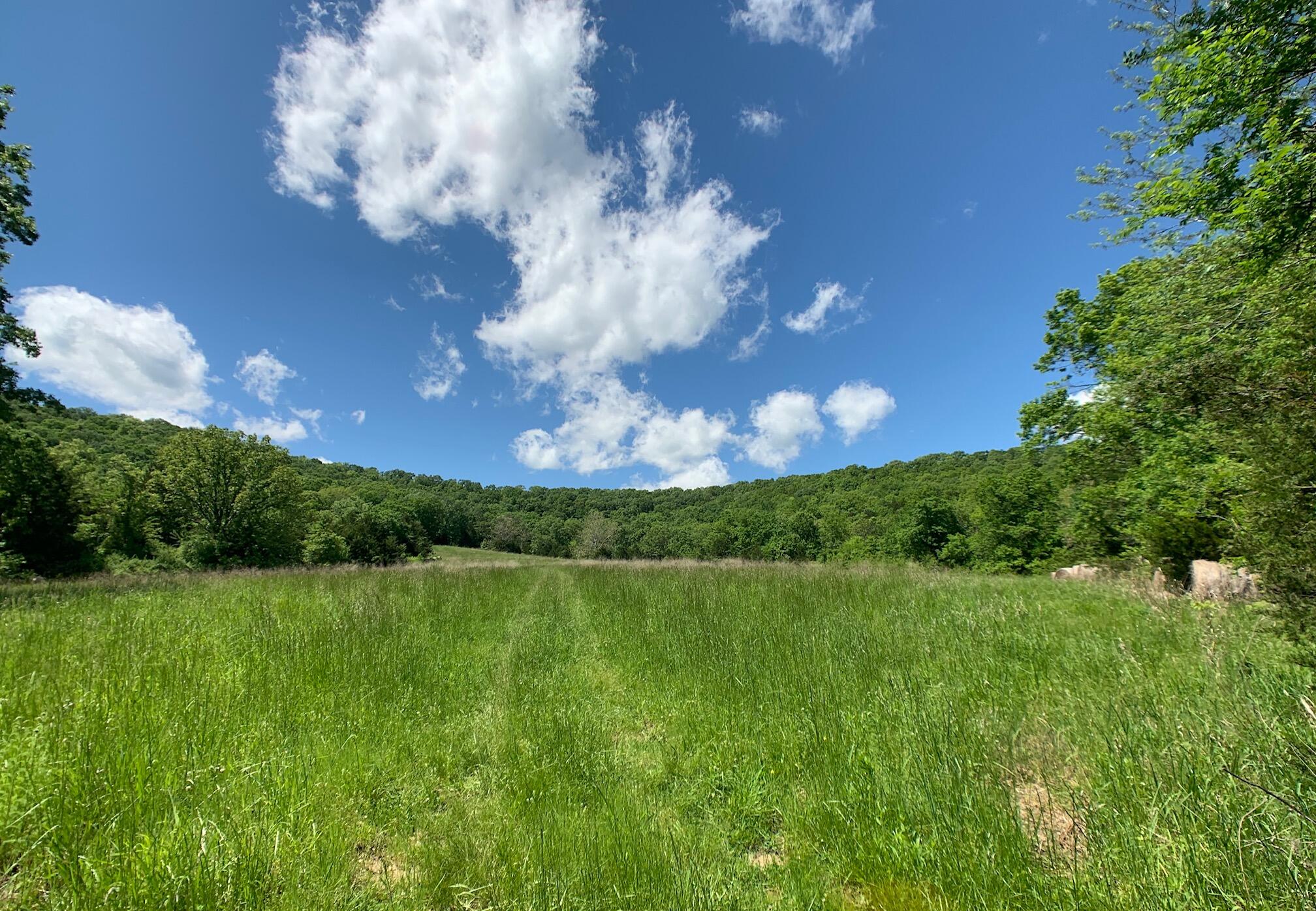 000 Farm Road 1280