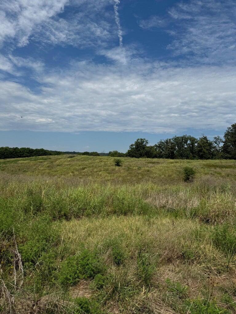 103 +/- ACRES,  MANY SITES FOR A HOME WITH TONS OF PRIVACY AND VIEWS