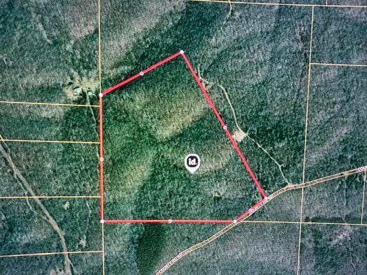 141 PRIVATE RD, WEST PLAINS, MO 65775 - Image 05e88c570254221337c3e7b5cd32bb1e/4290749886