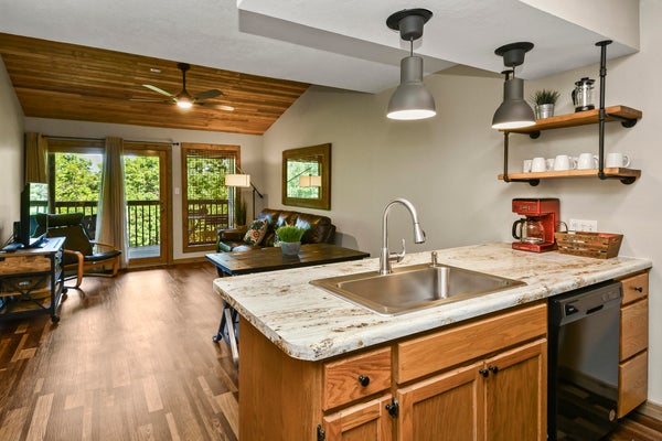 437 NOTCH LN, REEDS SPRING, MO 65737 - Image 06bf4bfbad765caadd8a78a2bd342781/3143341878
