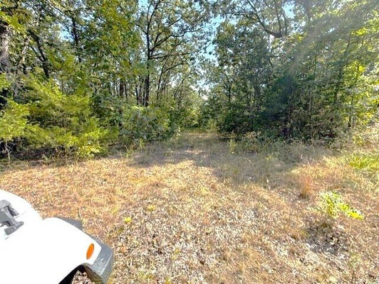18886 SUGAR CREEK RD, GARFIELD, AR 72732 - Image 06fc36d7c1a87ef724fb2b0039eb9dbd/195648971
