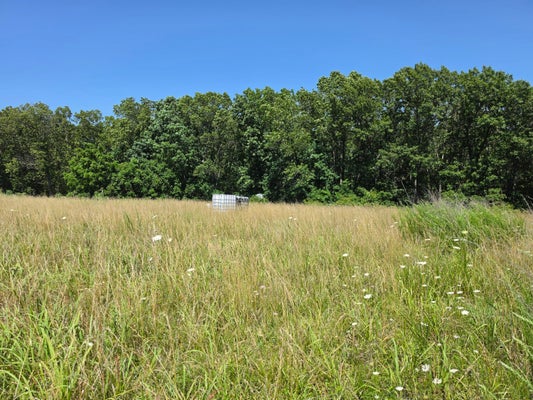 404 STATE HIGHWAY KK, FORDLAND, MO 65652 - Image 0818ecd4c54f4d99a6aef7a2cdb943d2/1256933226
