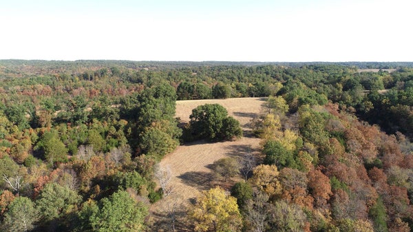 615 THOMAS HOLLOW RD, EXETER, MO 65647 - Image 082c114e2dc046022de6188383d5fc7b/421096157