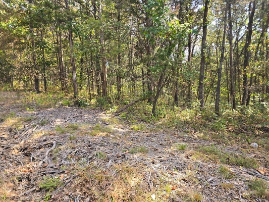 21762 ASH ST, PITTSBURG, MO 65724 - Image 08ccb586457e39aa8d2a8168b9d73129/2225897393