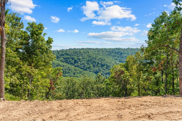 12538 COUNTRY RIDGE LANE # LOT 14, OMAHA, AR 72662 - Image 09747edb244093cbc62d2ac8fa00520f/2273919324