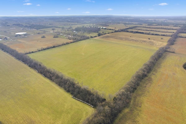 W FARM RD 174, REPUBLIC, MO 65738 - Image 0bd47518fa00535cf4444a61612af75c/3576448138