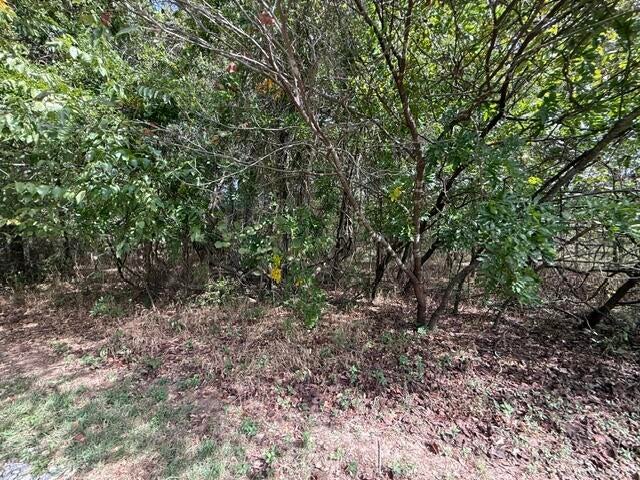 Photo 1 of 8 — 0 Walnut Circle, Flemington, MO 65650