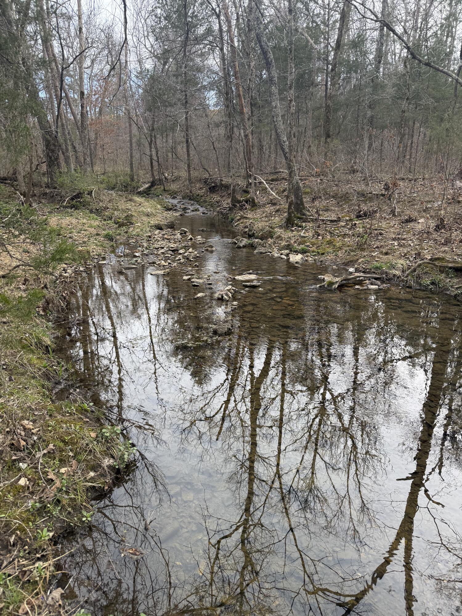 Ozark-Not in List - Land