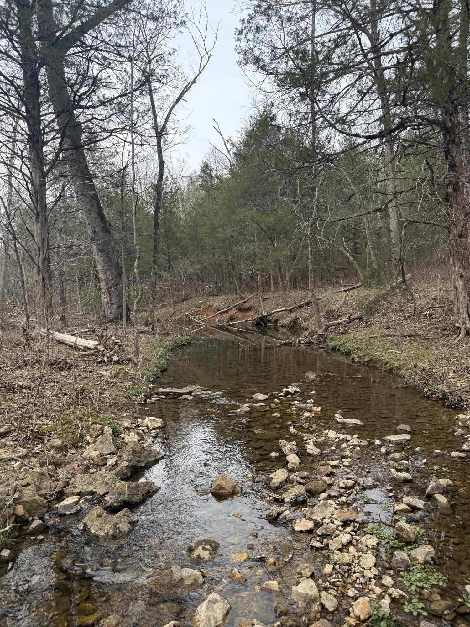 Ozark-Not in List - Land
