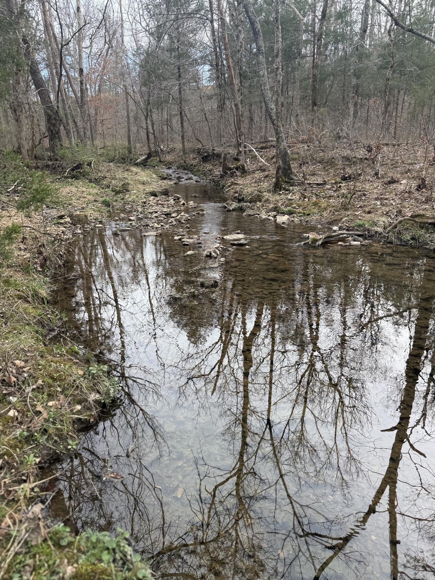 Ozark-Not in List - Land