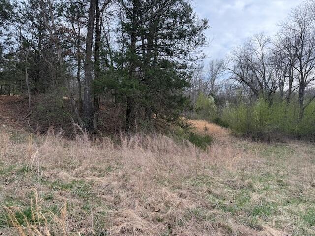 Ozark-Not in List - Land