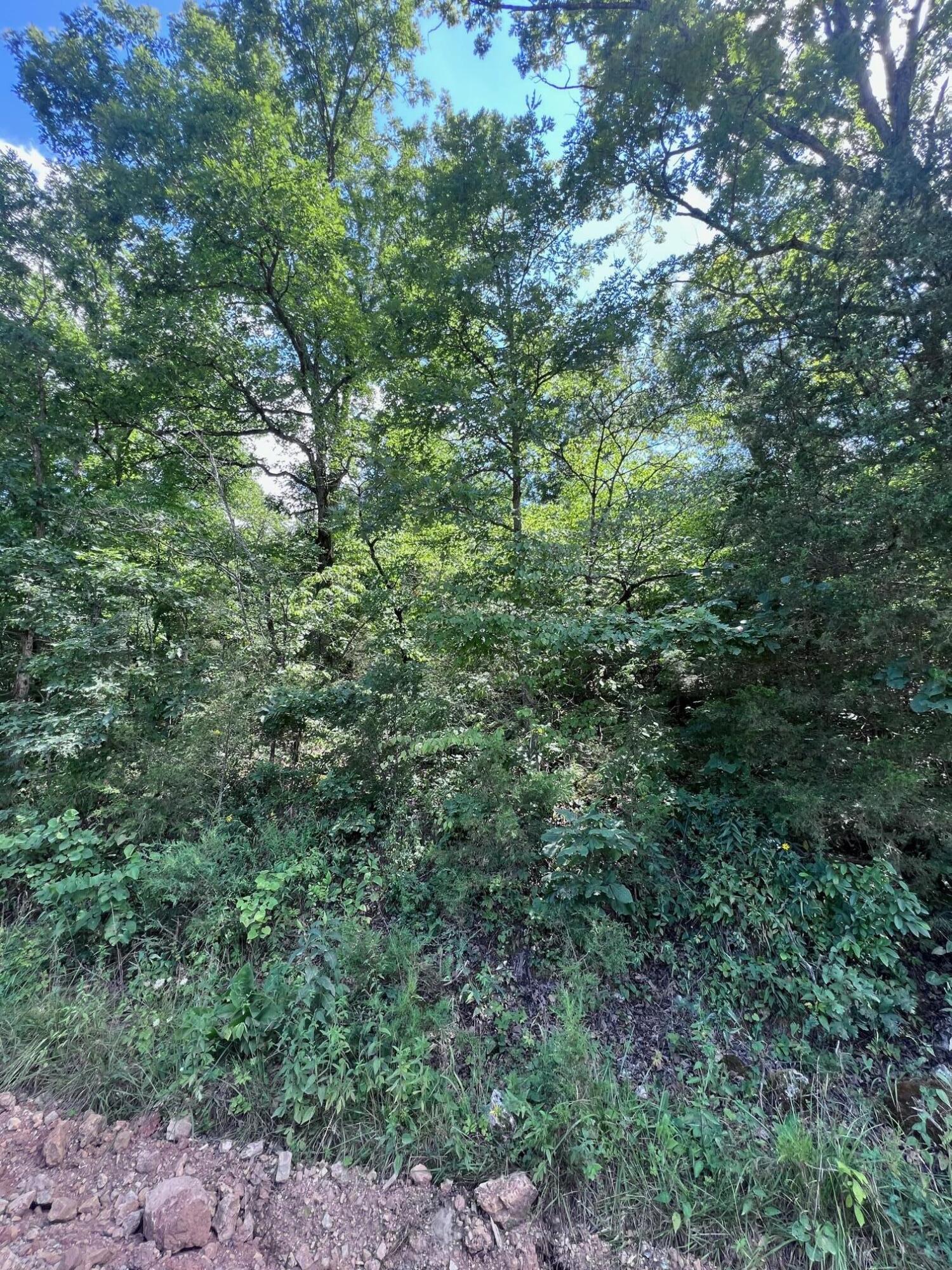 Ozark-Not in List - Land