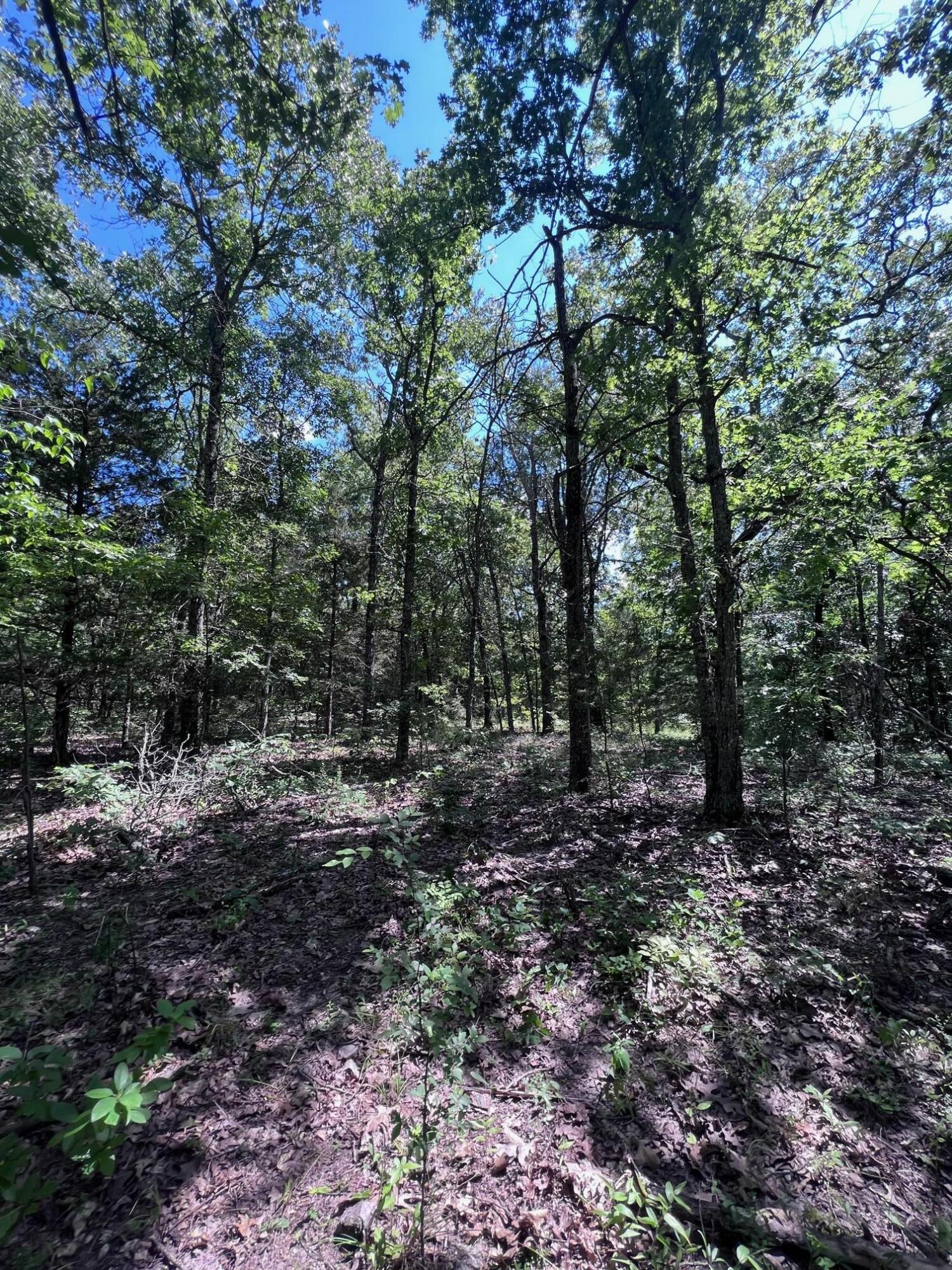 Ozark-Not in List - Land