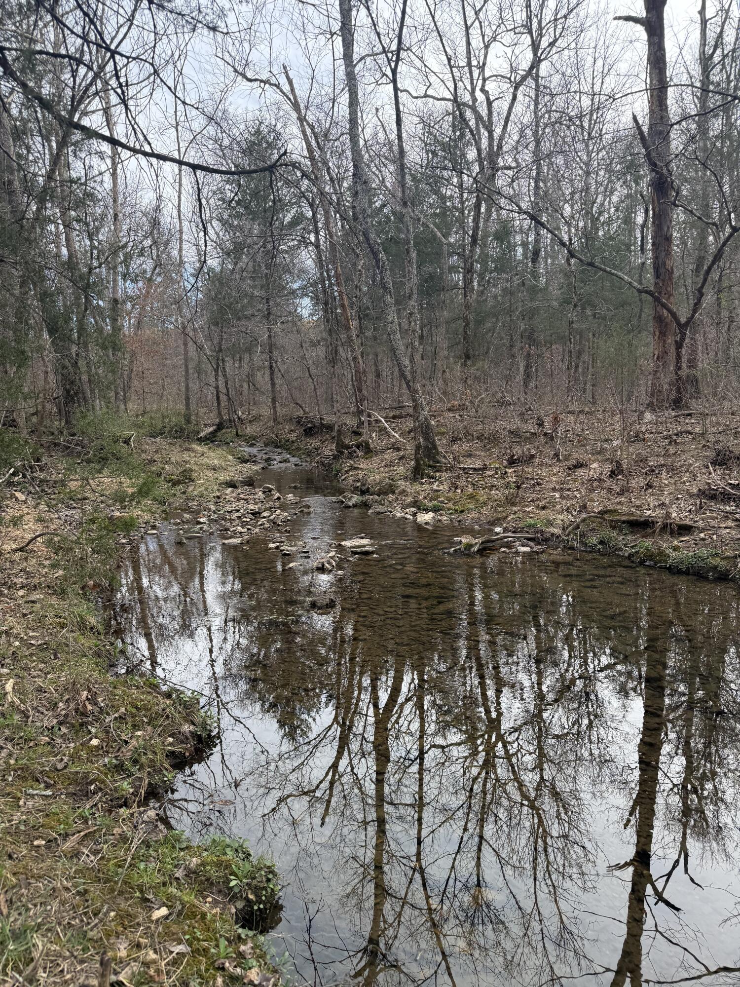Ozark-Not in List - Land