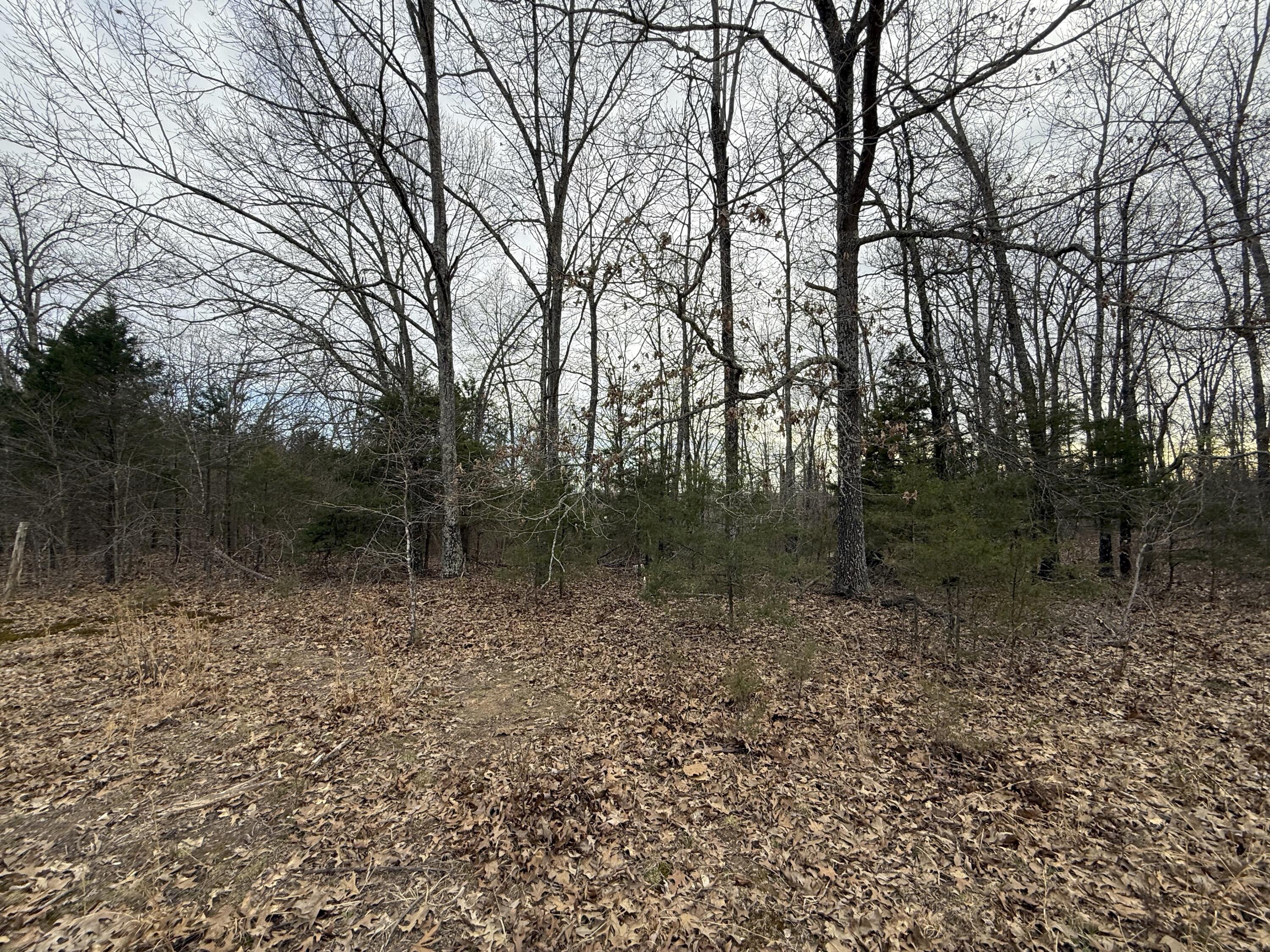 Ozark-Not in List - Land