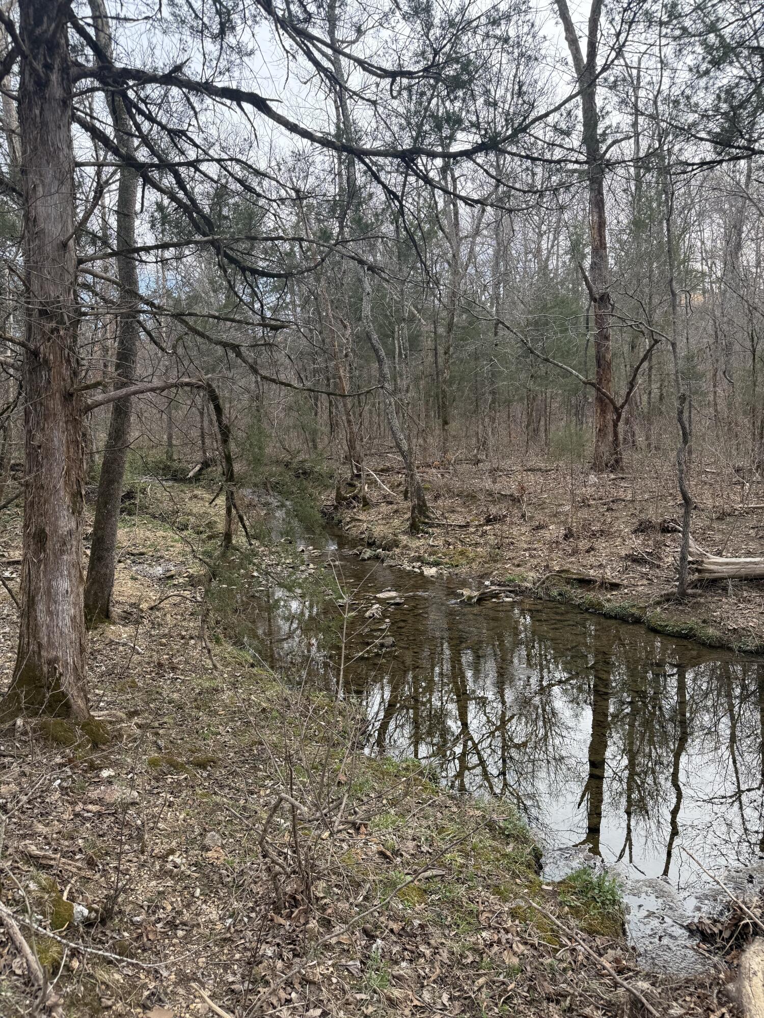 Ozark-Not in List - Land
