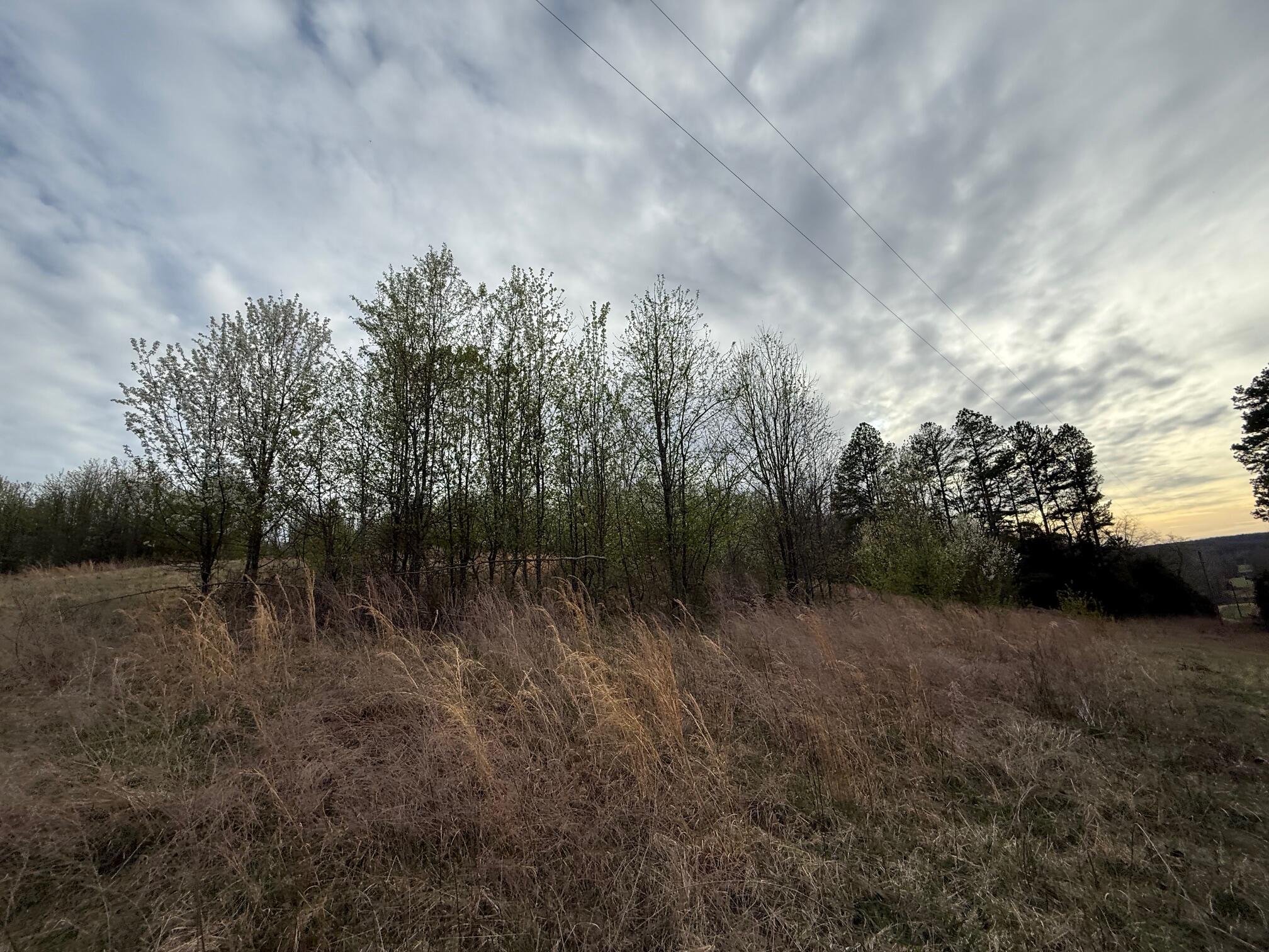 Ozark-Not in List - Land