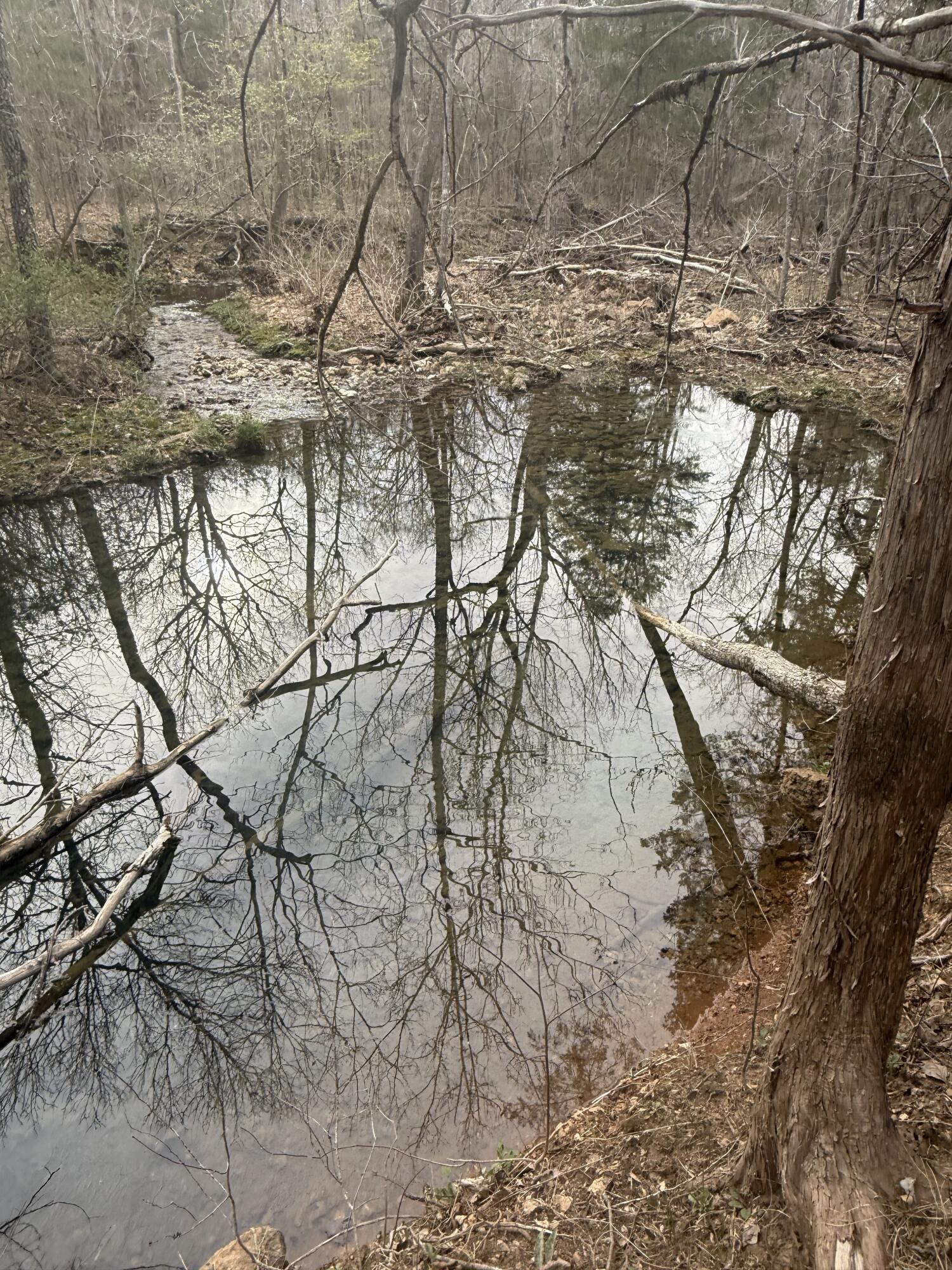 Great hunting property! Mostly wooded acreage. Property line does run along the middle of the creek on County Road 544. Large live spring with running creek on back of property. Pond, Food Plots, Lots of trails thru out for your side by side or hiking. Abundance of wildlife. Turkey, deers, beaver, squirrels, etc. Electric line runs across the front of property. Two entrances.  Fenced and cross fenced. Close to the Rivers and Lake. Mark Twain Forests.