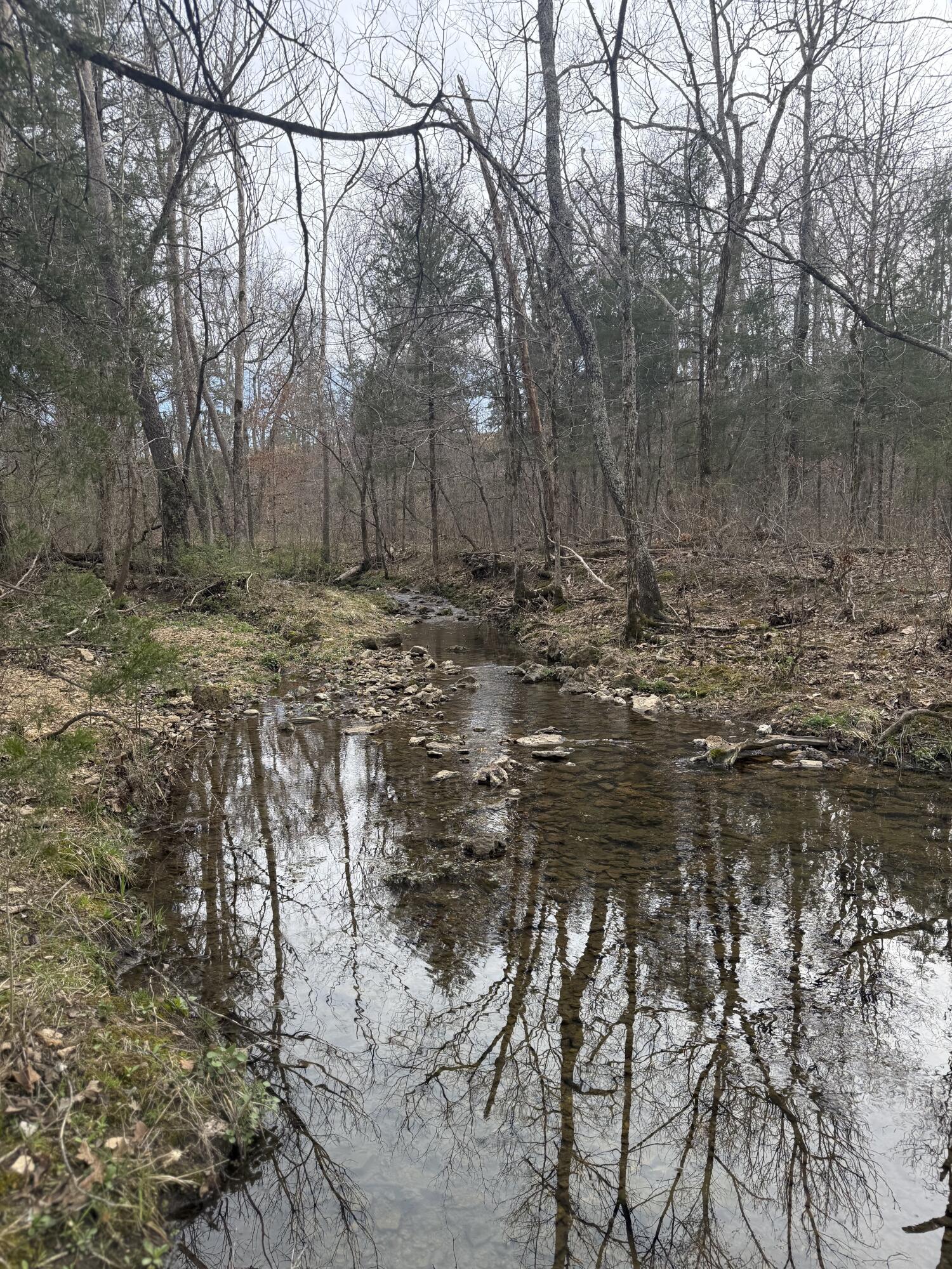 Ozark-Not in List - Land