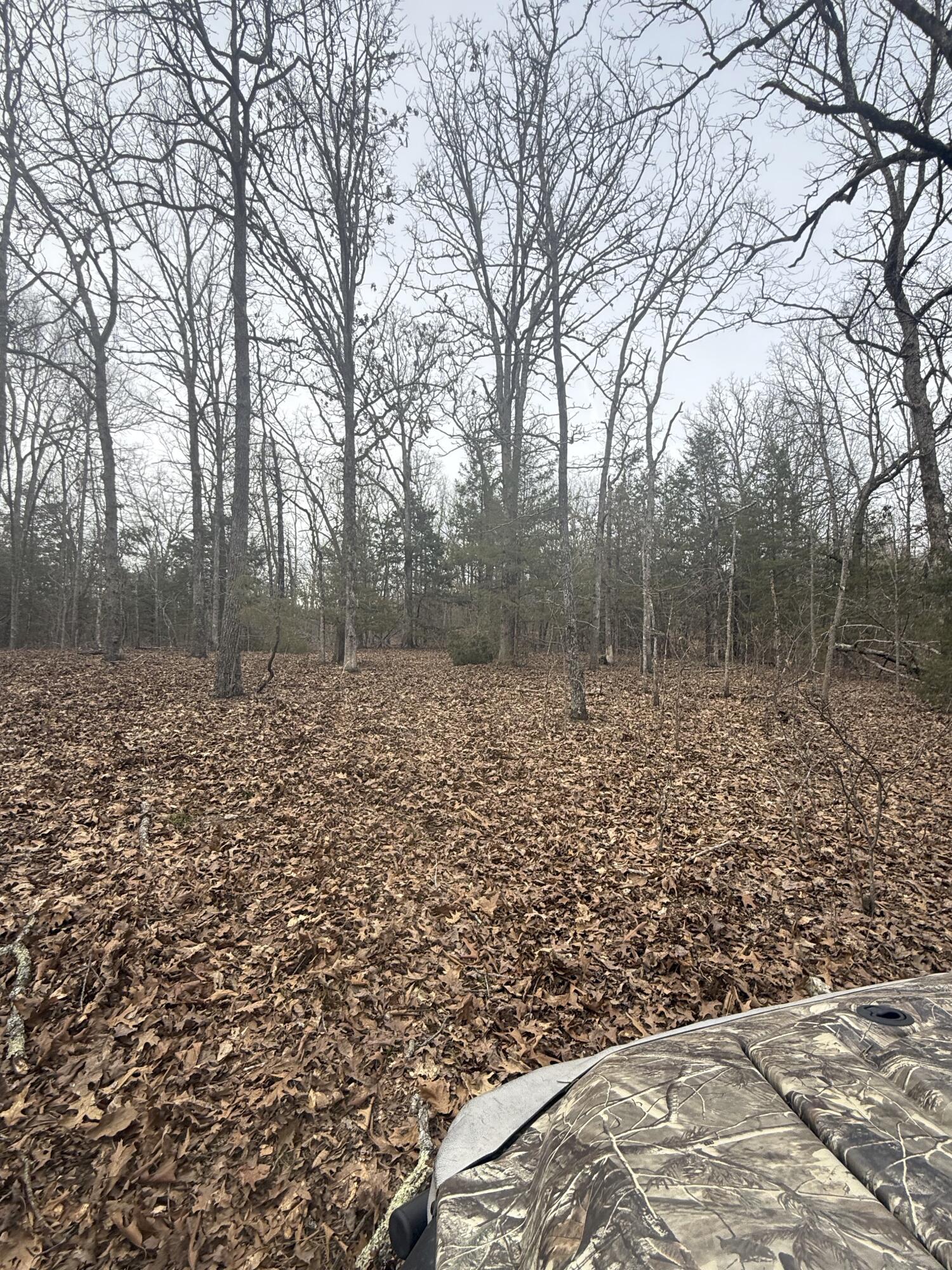 Ozark-Not in List - Land