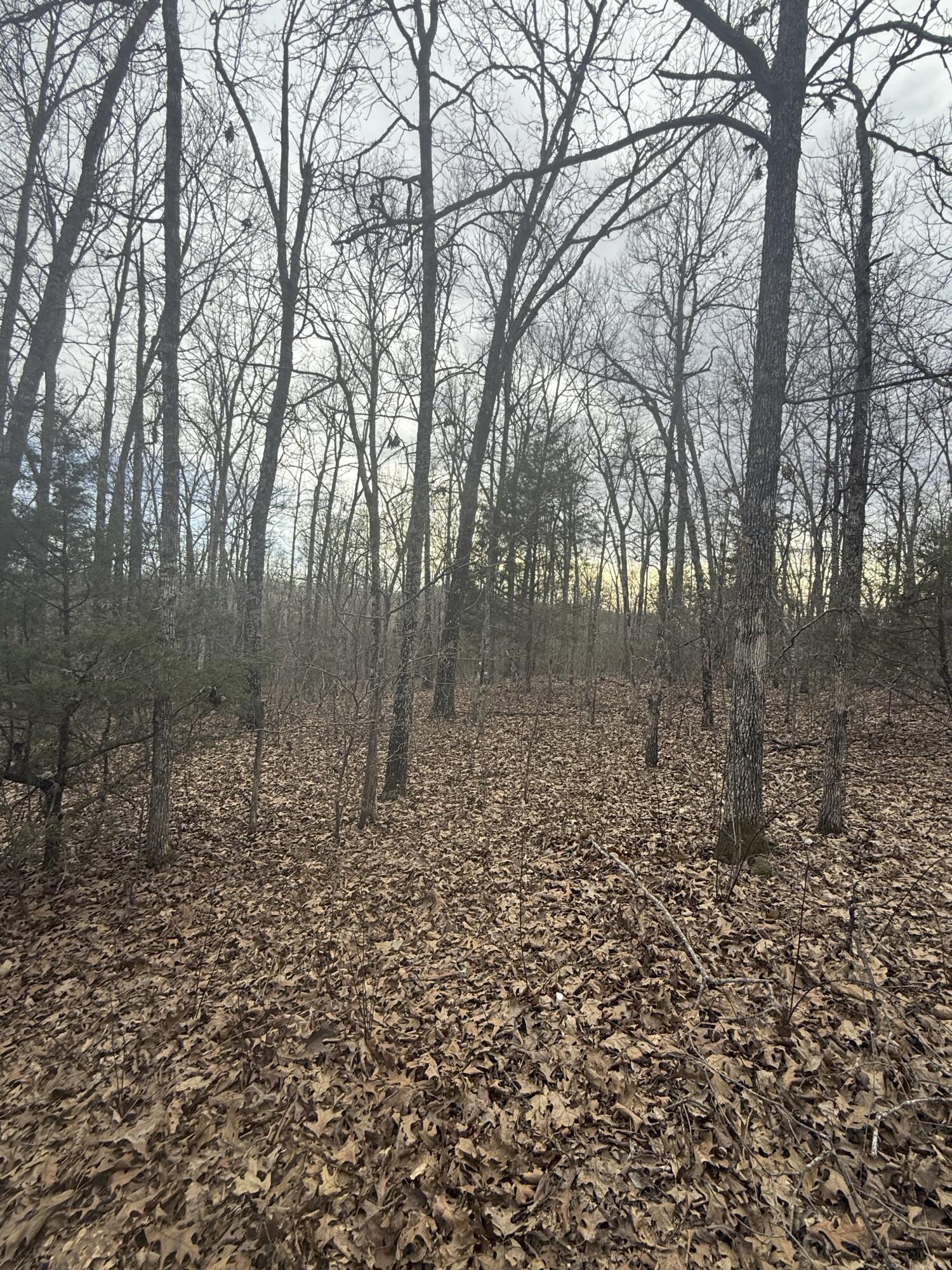 Ozark-Not in List - Land