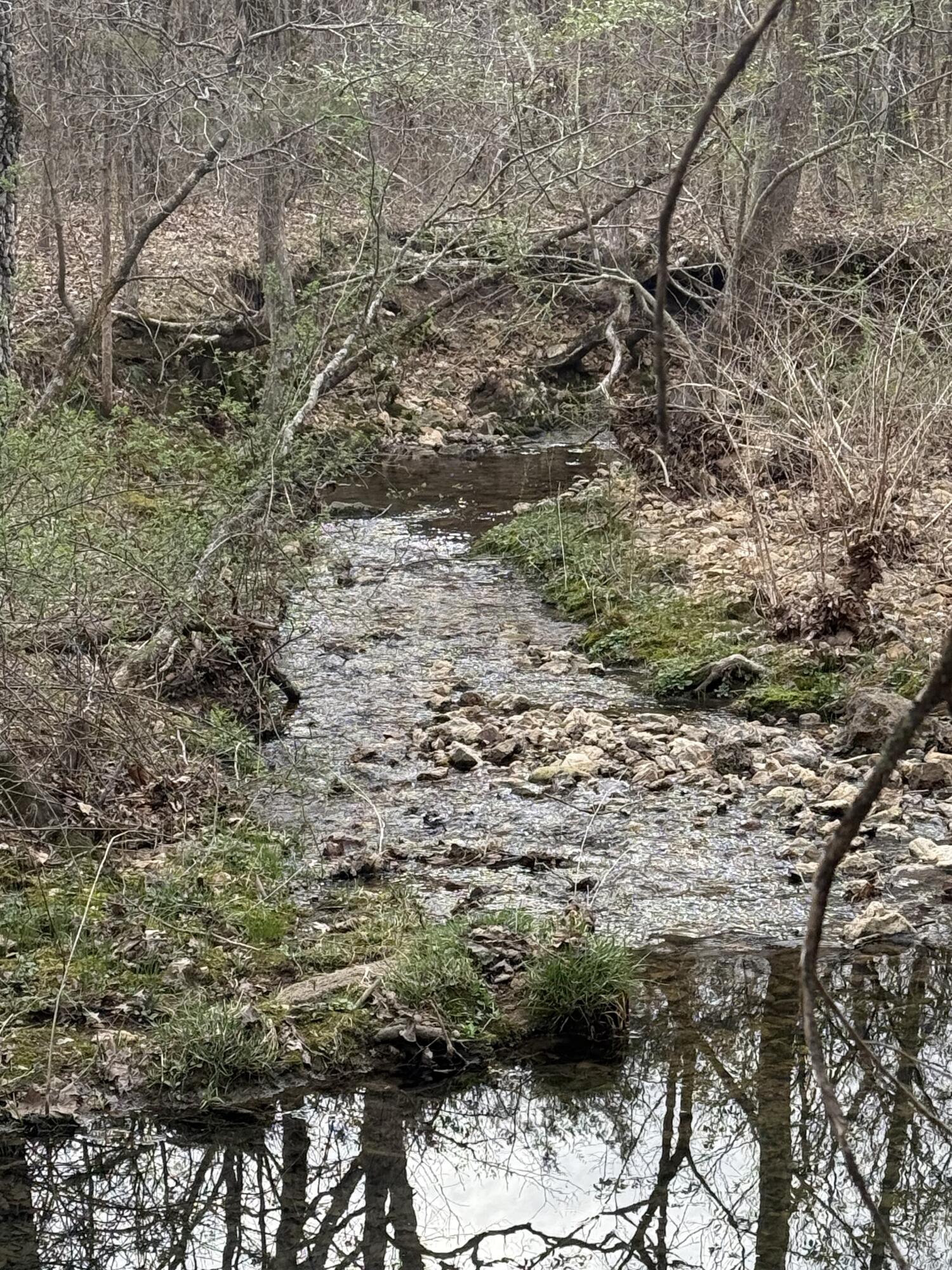 Ozark-Not in List - Land