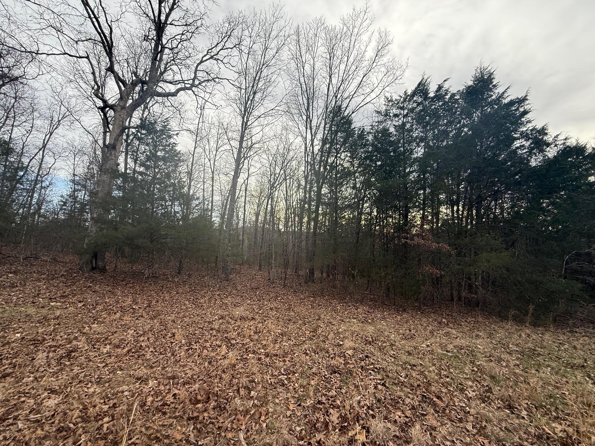 Ozark-Not in List - Land