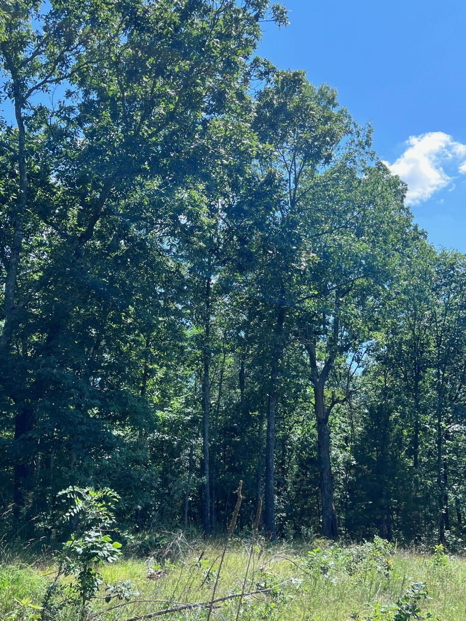 Ozark-Not in List - Land