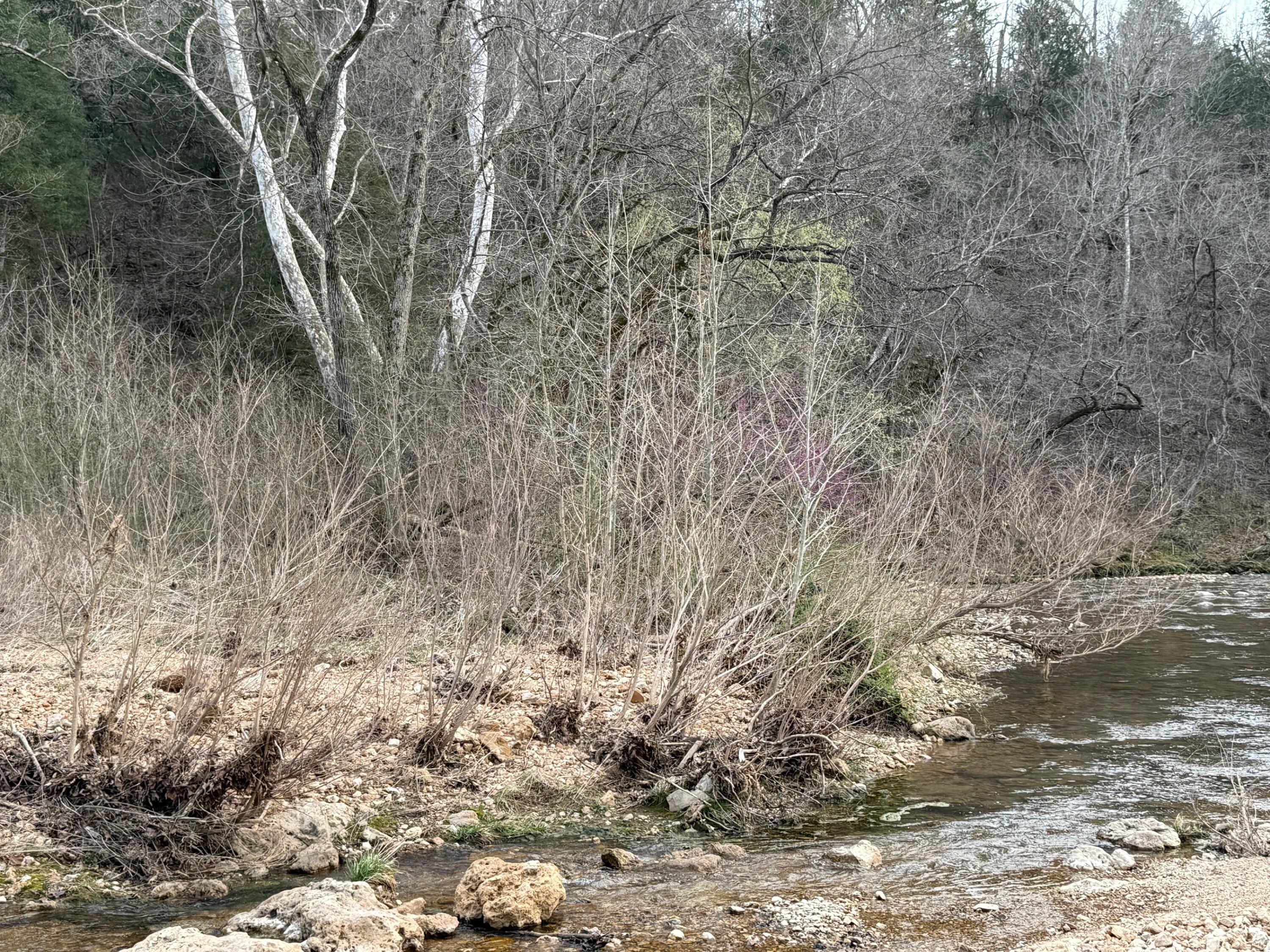 Ozark-Not in List - Land