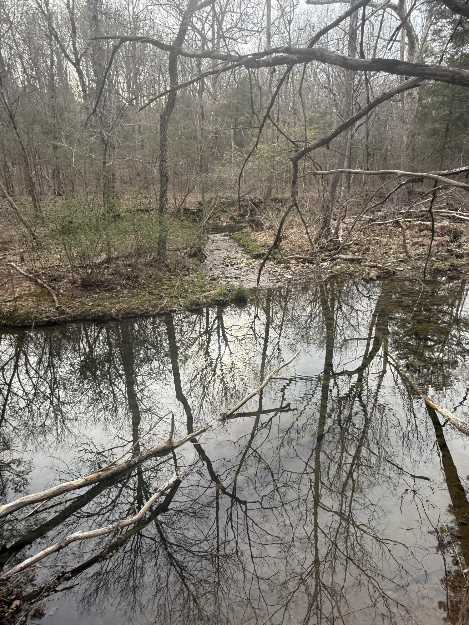 Ozark-Not in List - Land