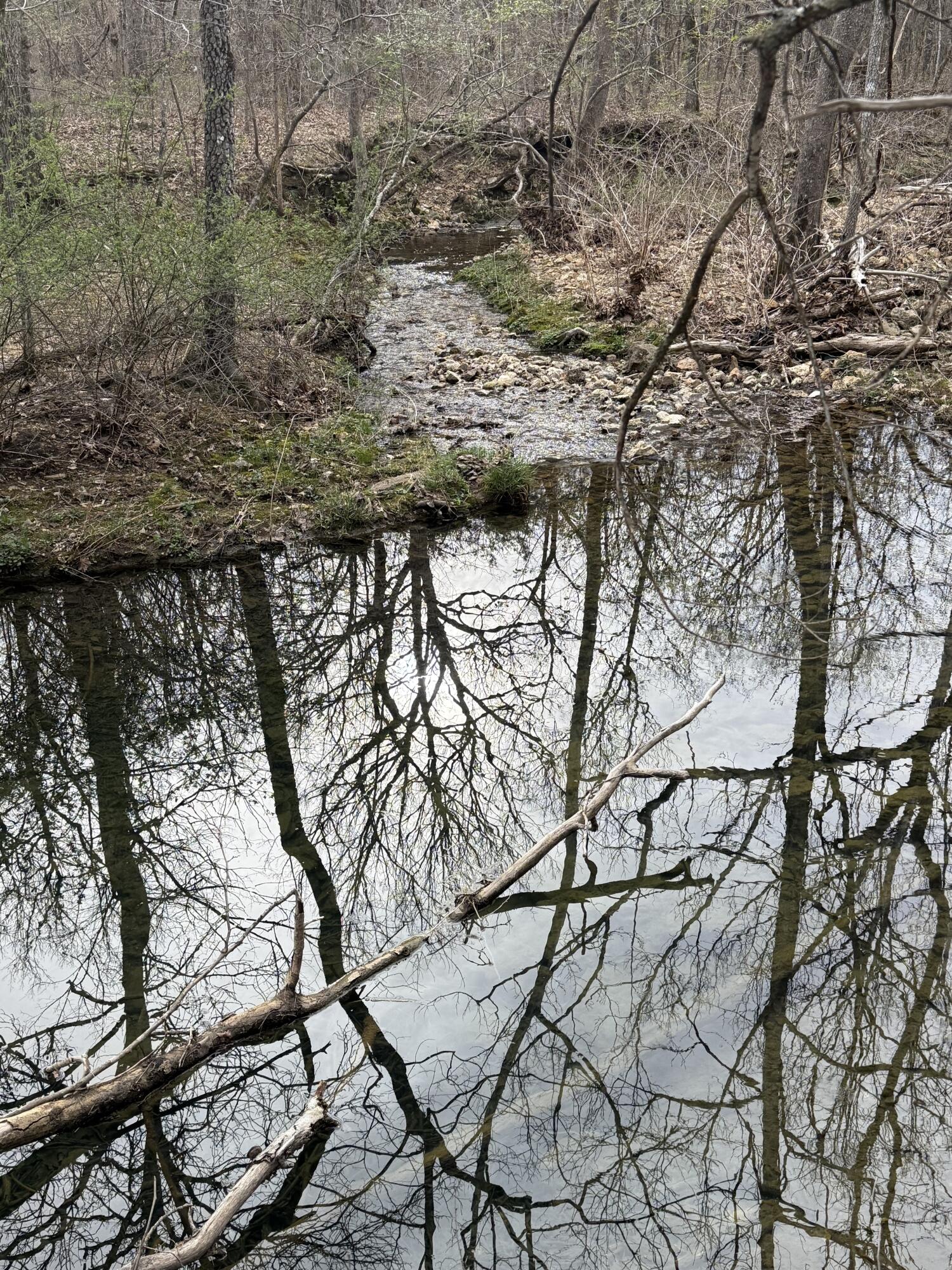 Ozark-Not in List - Land