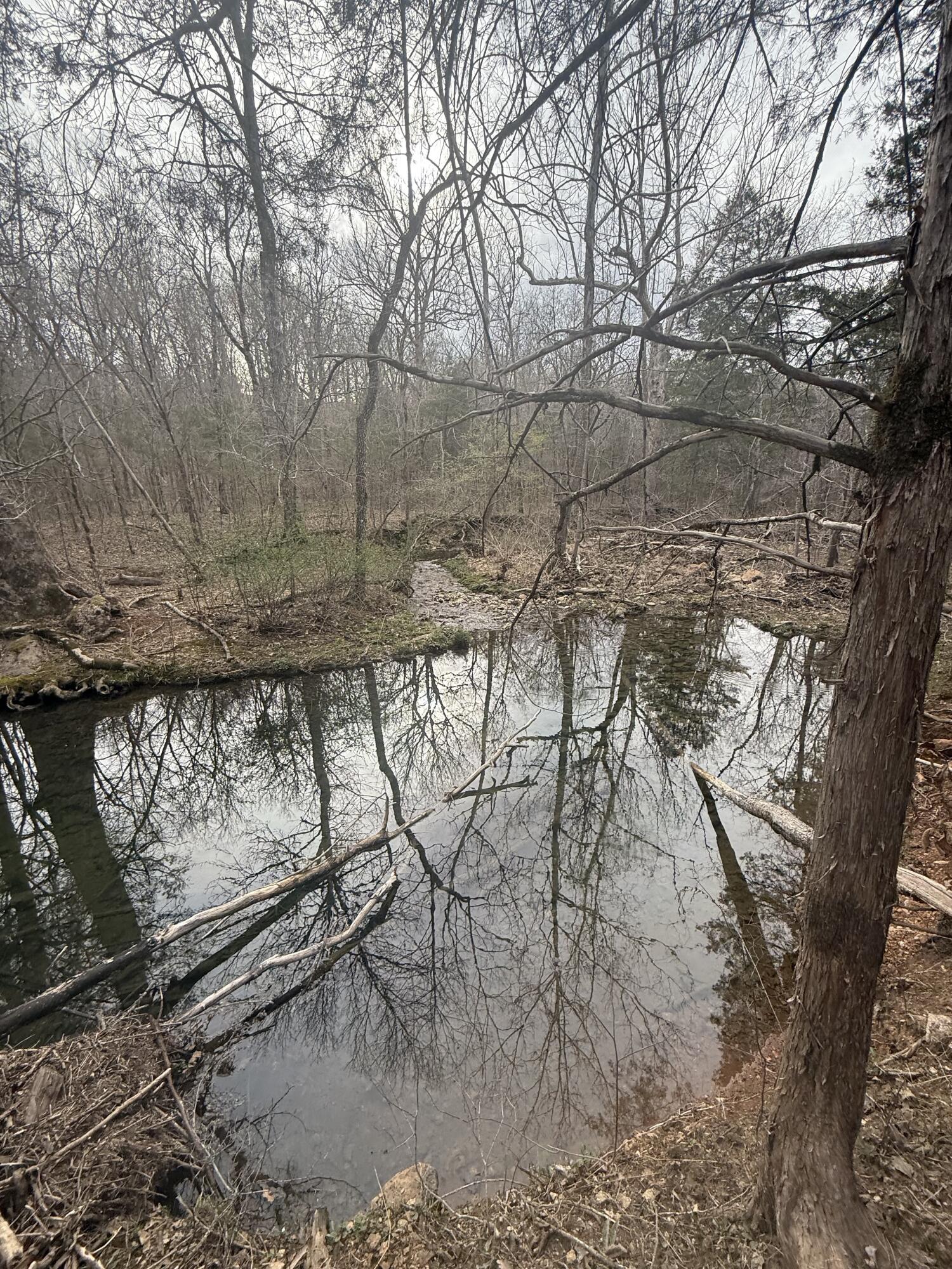 Ozark-Not in List - Land