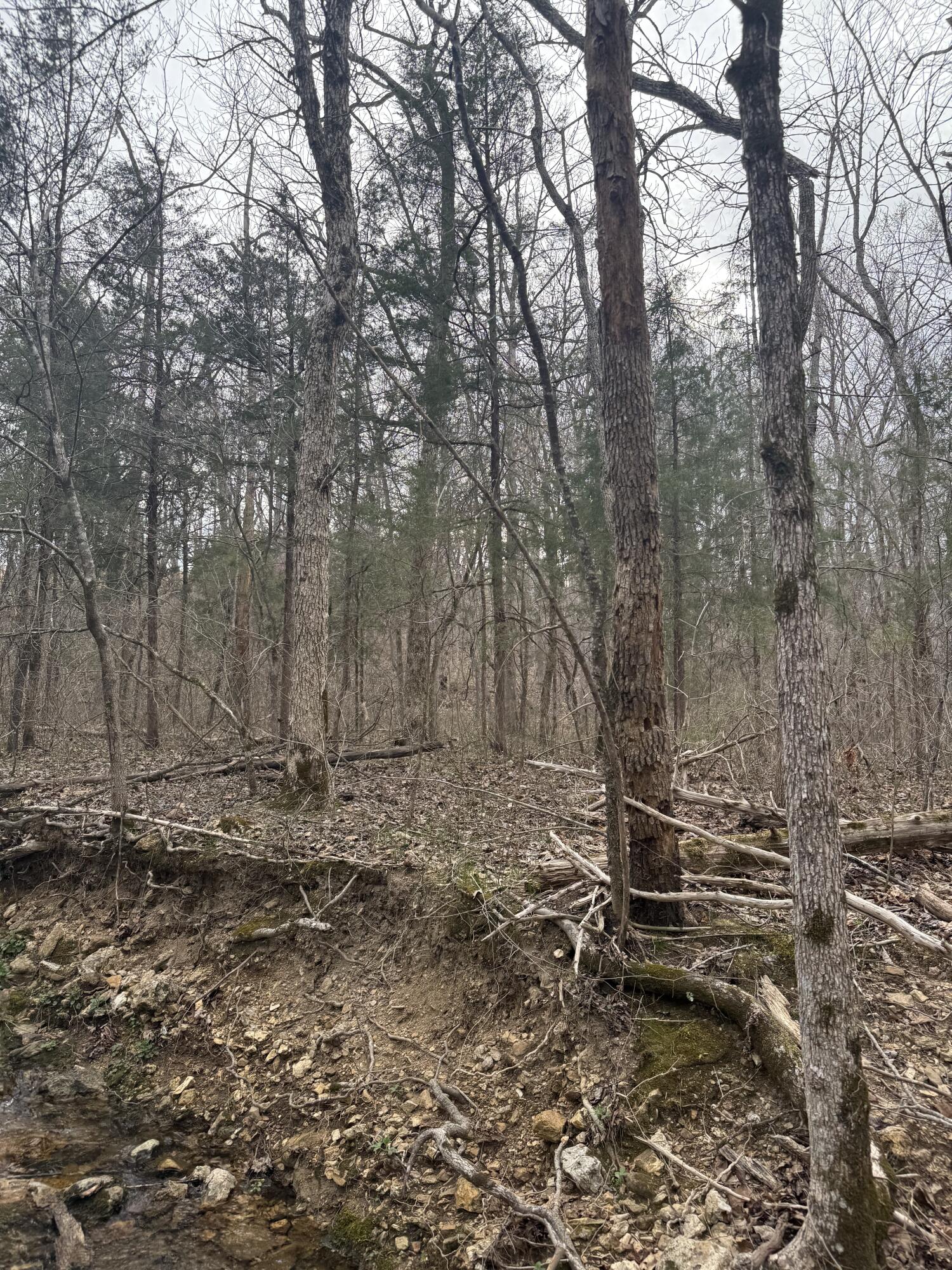 Ozark-Not in List - Land