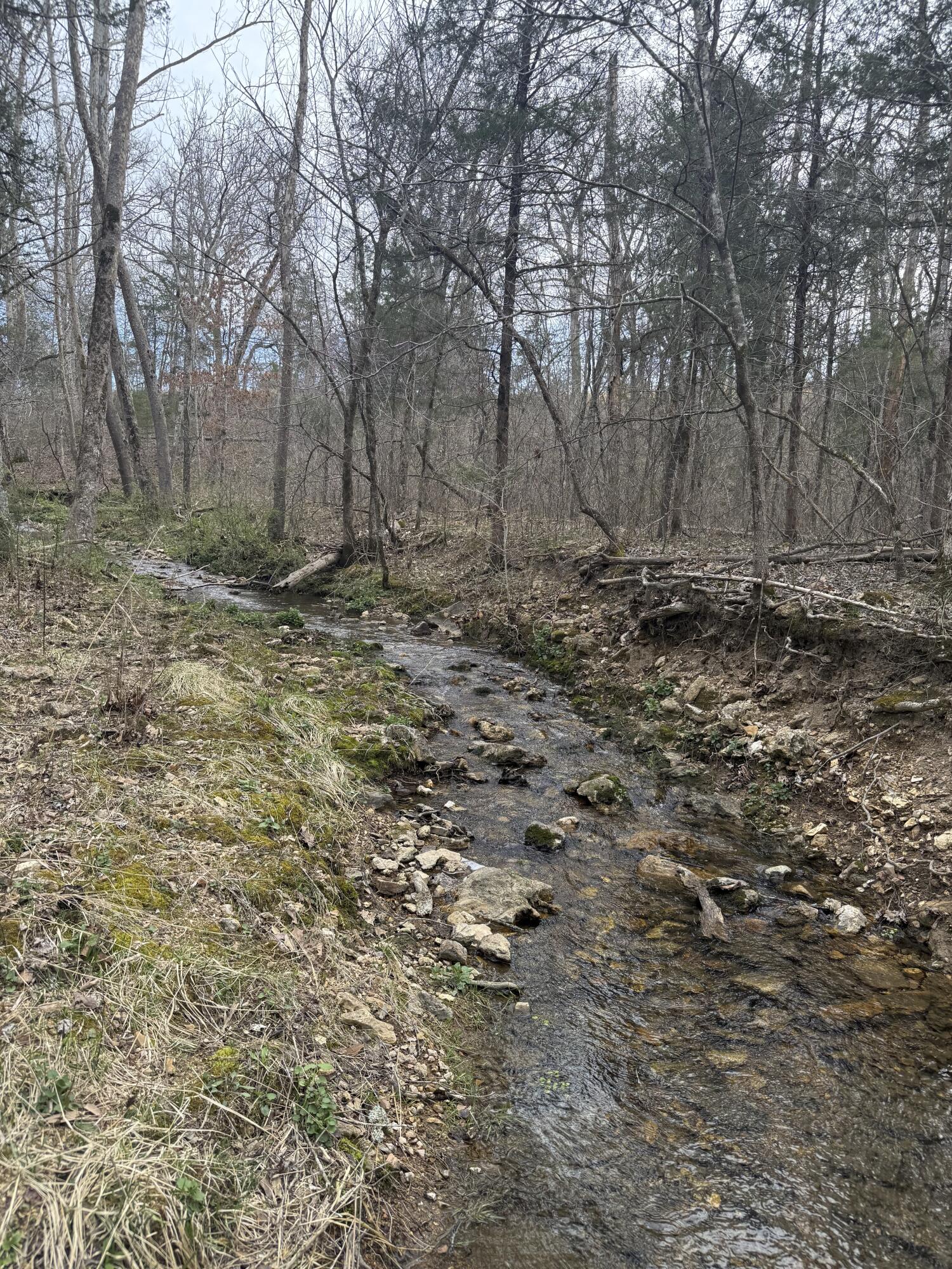 Ozark-Not in List - Land
