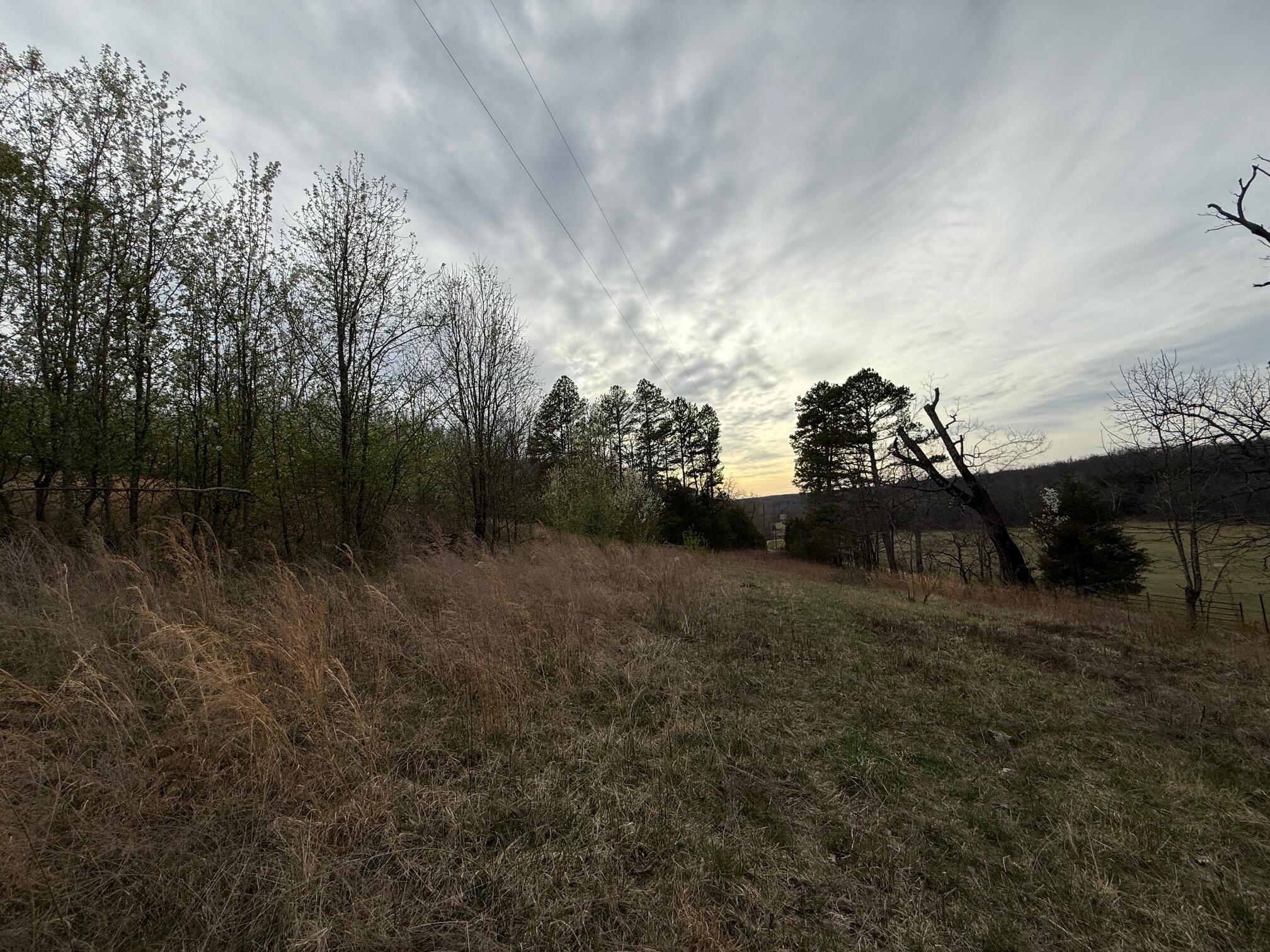 Ozark-Not in List - Land