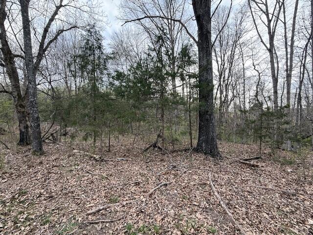 Ozark-Not in List - Land