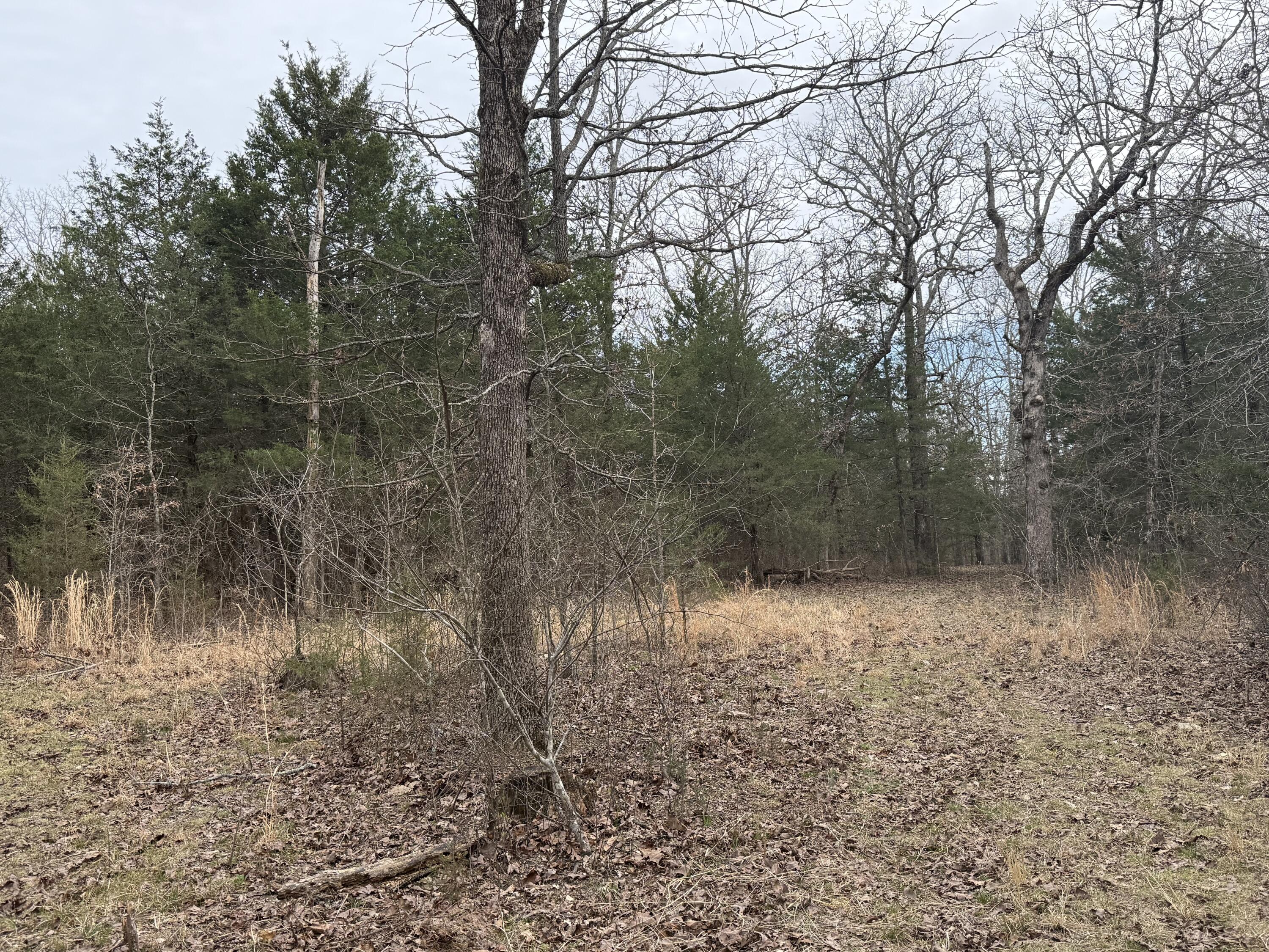 Ozark-Not in List - Land