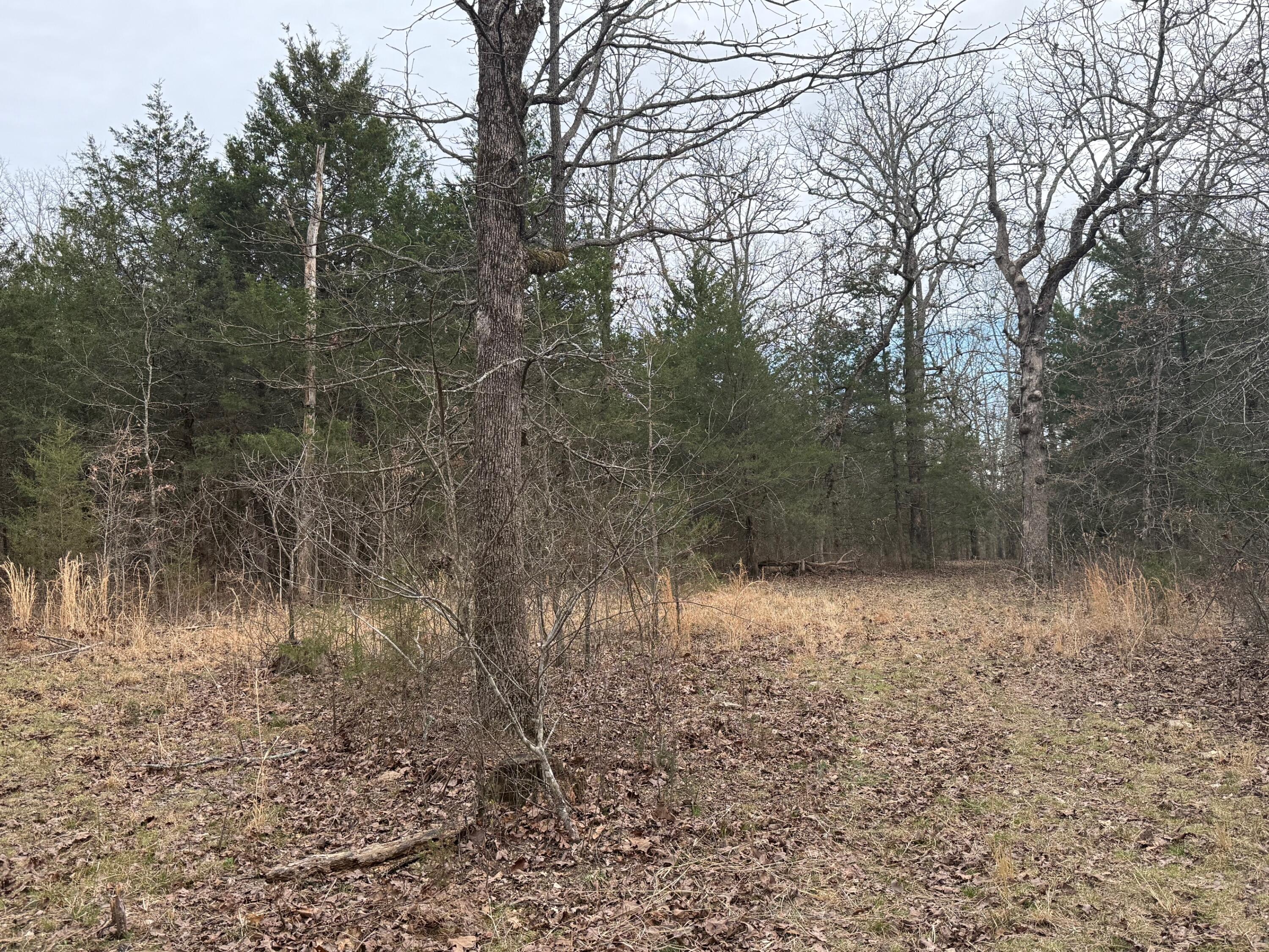 Ozark-Not in List - Land