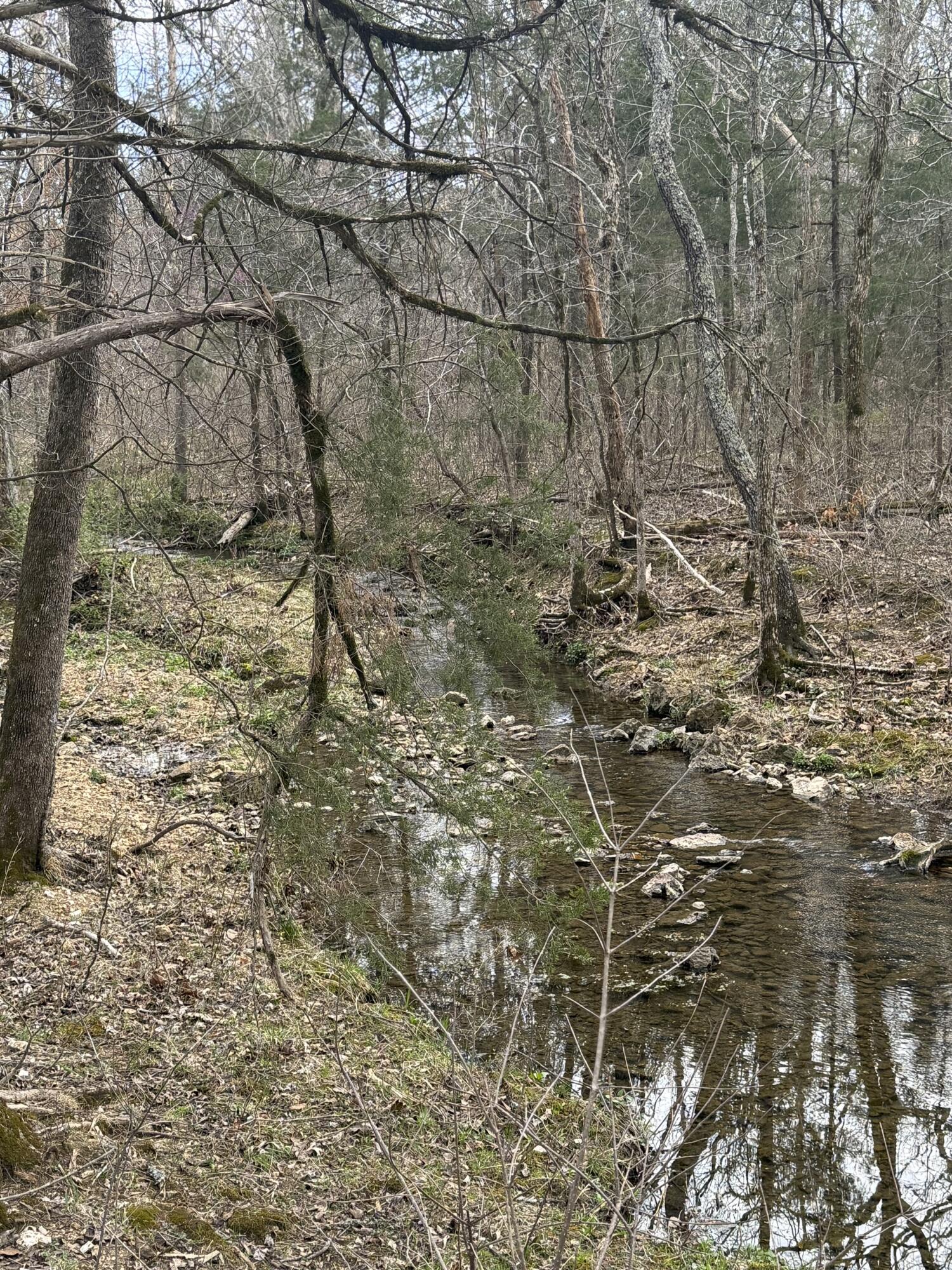 Ozark-Not in List - Land