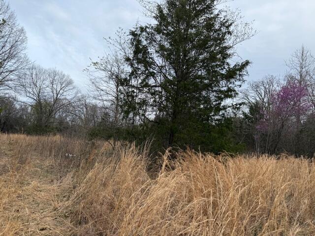 Ozark-Not in List - Land