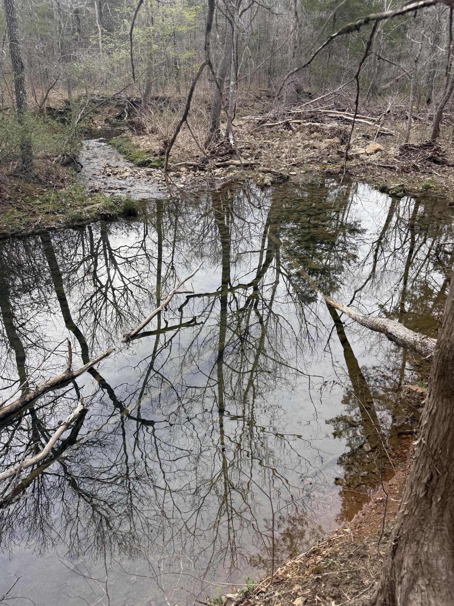 Ozark-Not in List - Land