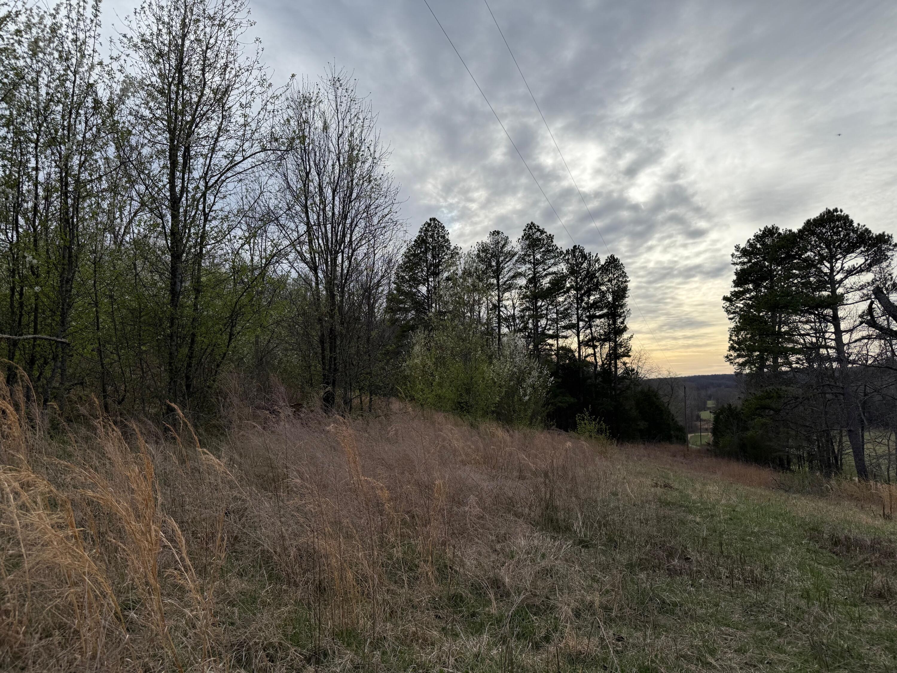 Ozark-Not in List - Land