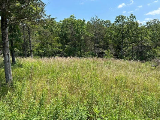 LOT 12 TRIBUTE FALLS, CASSVILLE, MO 65625 - Image 0d85413fa8e37e504b89ef77ec5dfc0a/1372005934