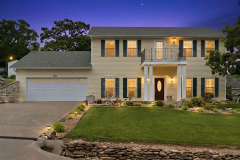 Photo of 209 N Maple Street, Blue Eye, MO 65611 (MLS # 60324454)