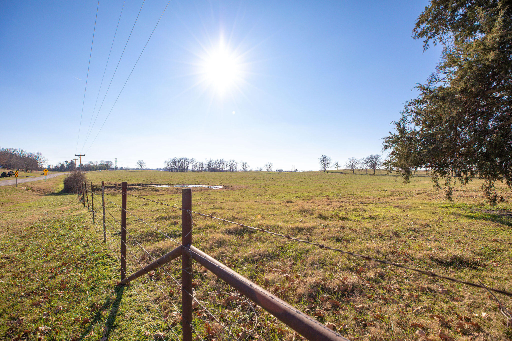 Tbd 241.32 Acres County Road 433